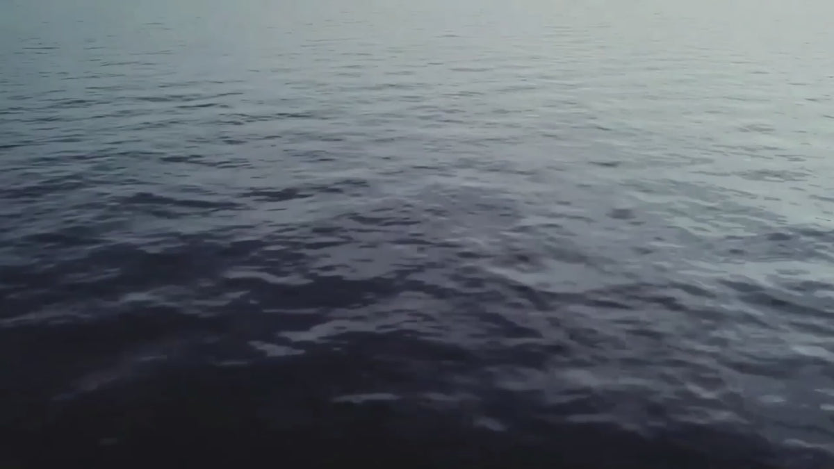 Lataa video: 